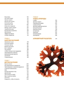 Наша планета Земля. Большая иллюстрированная энциклопедия — фото, картинка — 2