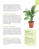 Зеленый оазис. Комнатные растения от А до Я — фото, картинка — 12