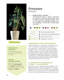 Зеленый оазис. Комнатные растения от А до Я — фото, картинка — 15