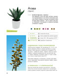 Зеленый оазис. Комнатные растения от А до Я — фото, картинка — 9