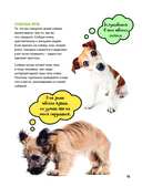 Собаки. Полное руководство для детей — фото, картинка — 11