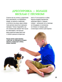 Собаки. Полное руководство для детей — фото, картинка — 13