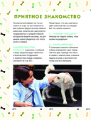 Собаки. Полное руководство для детей — фото, картинка — 14