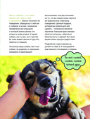 Собаки. Полное руководство для детей — фото, картинка — 9