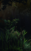 Зайчик 2. Том 1. Дыхание леса — фото, картинка — 2