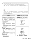 Биология — фото, картинка — 13