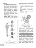 Биология — фото, картинка — 14