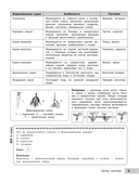 Биология — фото, картинка — 15