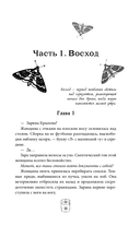 Лучи другого солнца — фото, картинка — 13