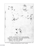 Истребитель 