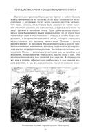 Государство, армия и общество Древнего Египта — фото, картинка — 9