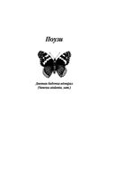 Комната бабочек — фото, картинка — 7