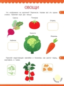 Обобщающие слова: книжка с наклейками — фото, картинка — 1