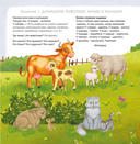 Альбом для развития мозга — фото, картинка — 6