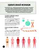 Что? Как? Почему? Мои первые знания про ТЕЛО ЧЕЛОВЕКА — фото, картинка — 4