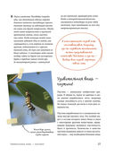 Пауки. Познавательная иллюстрированная энциклопедия для всей семьи — фото, картинка — 18