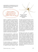 Пауки. Познавательная иллюстрированная энциклопедия для всей семьи — фото, картинка — 20