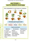 Наглядный курс начальной школы — фото, картинка — 31