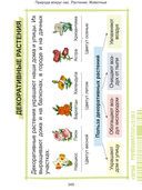 Наглядный курс начальной школы — фото, картинка — 32