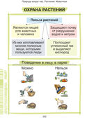 Наглядный курс начальной школы — фото, картинка — 33