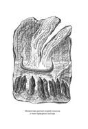 Большая книга скандинавских мифов. Более 150 преданий и легенд — фото, картинка — 99