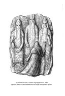 Большая книга скандинавских мифов. Более 150 преданий и легенд — фото, картинка — 25