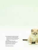 Кошки. Полное руководство для детей — фото, картинка — 2