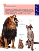 Кошки. Полное руководство для детей — фото, картинка — 11