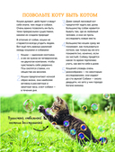 Кошки. Полное руководство для детей — фото, картинка — 12