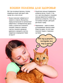 Кошки. Полное руководство для детей — фото, картинка — 10