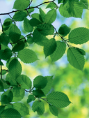 Обо всем на свете! Большая энциклопедия для маленьких — фото, картинка — 4