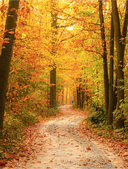 Обо всем на свете! Большая энциклопедия для маленьких — фото, картинка — 9