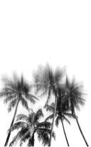 Акт исчезновения — фото, картинка — 1