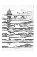 Певчая птица и каменное сердце — фото, картинка — 7