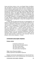 Статьи критиков о русской литературе — фото, картинка — 18