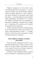 Всё о рассаде. Корни мудрости. От выбора семян до высадки в грунт — фото, картинка — 8