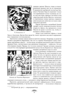 Очерки о декоративной скульптуре Санкт-Петербурга — фото, картинка — 11