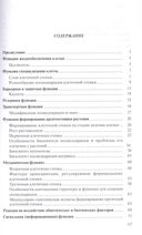 Клеточная стенка – многофункциональная структура растения — фото, картинка — 1