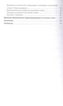 Клеточная стенка – многофункциональная структура растения — фото, картинка — 2