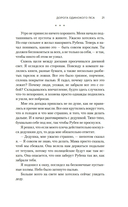 Дорога Одинокого Пса — фото, картинка — 17