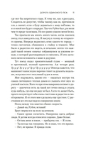 Дорога Одинокого Пса — фото, картинка — 7