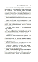 Дорога Одинокого Пса — фото, картинка — 9