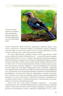 Жизнь певчих птиц. Популярные очерки экологии, размножения, филопатрии, демографии — фото, картинка — 8