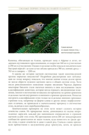 Жизнь певчих птиц. Популярные очерки экологии, размножения, филопатрии, демографии — фото, картинка — 9