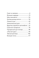 Три юных детектива. Турбогонка — фото, картинка — 3