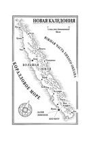 Золотой жук мисс Бенсон — фото, картинка — 5