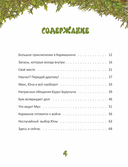 Karmalogic для детей. Приключения в Кармашкино — фото, картинка — 1