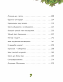 Karmalogic для детей. Приключения в Кармашкино — фото, картинка — 4