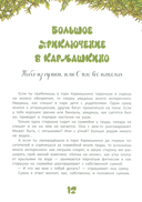 Karmalogic для детей. Приключения в Кармашкино — фото, картинка — 10