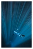 Свободное погружение. О природе лидерства и обретении личной силы — фото, картинка — 20